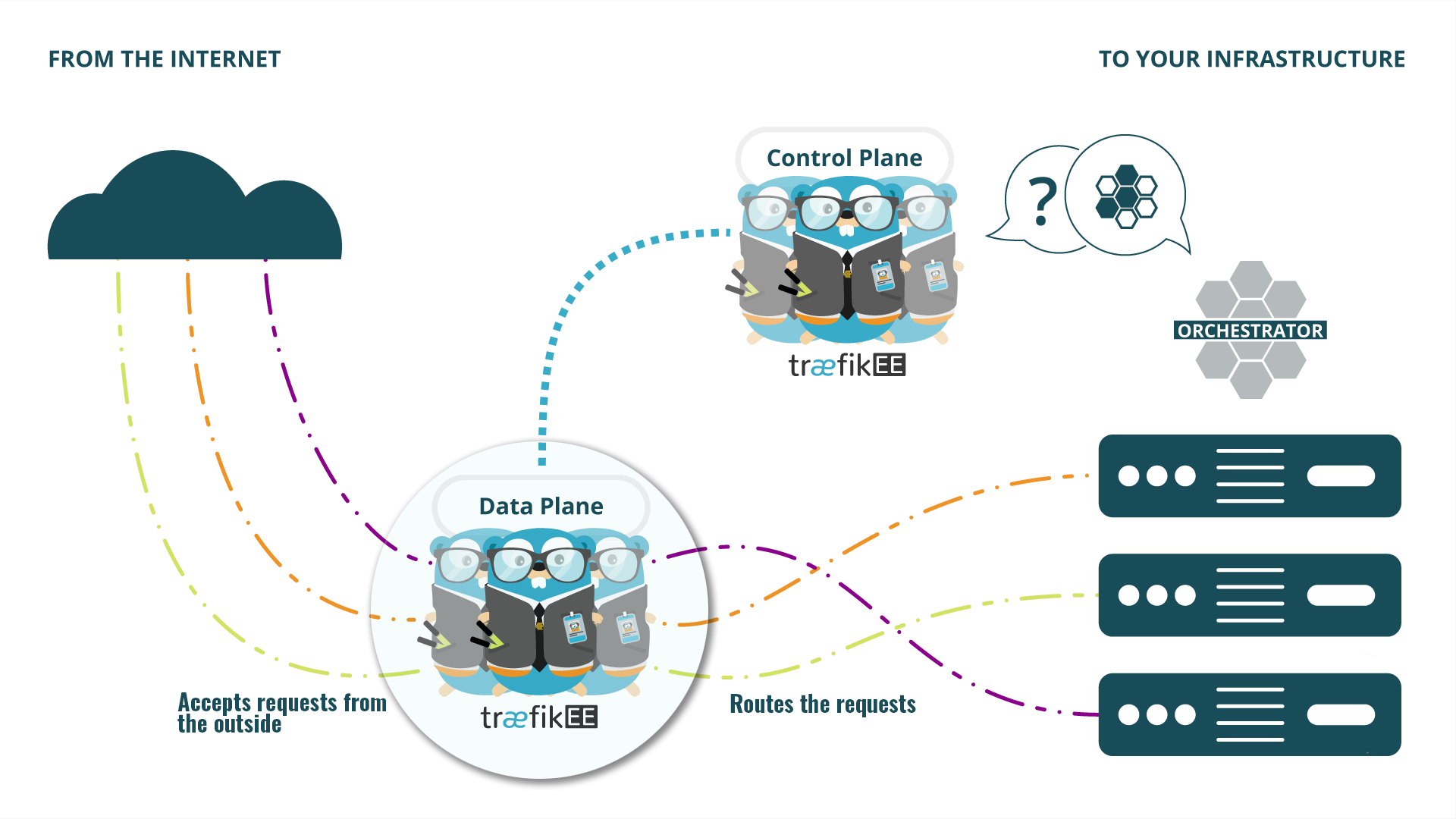 The Data Plane