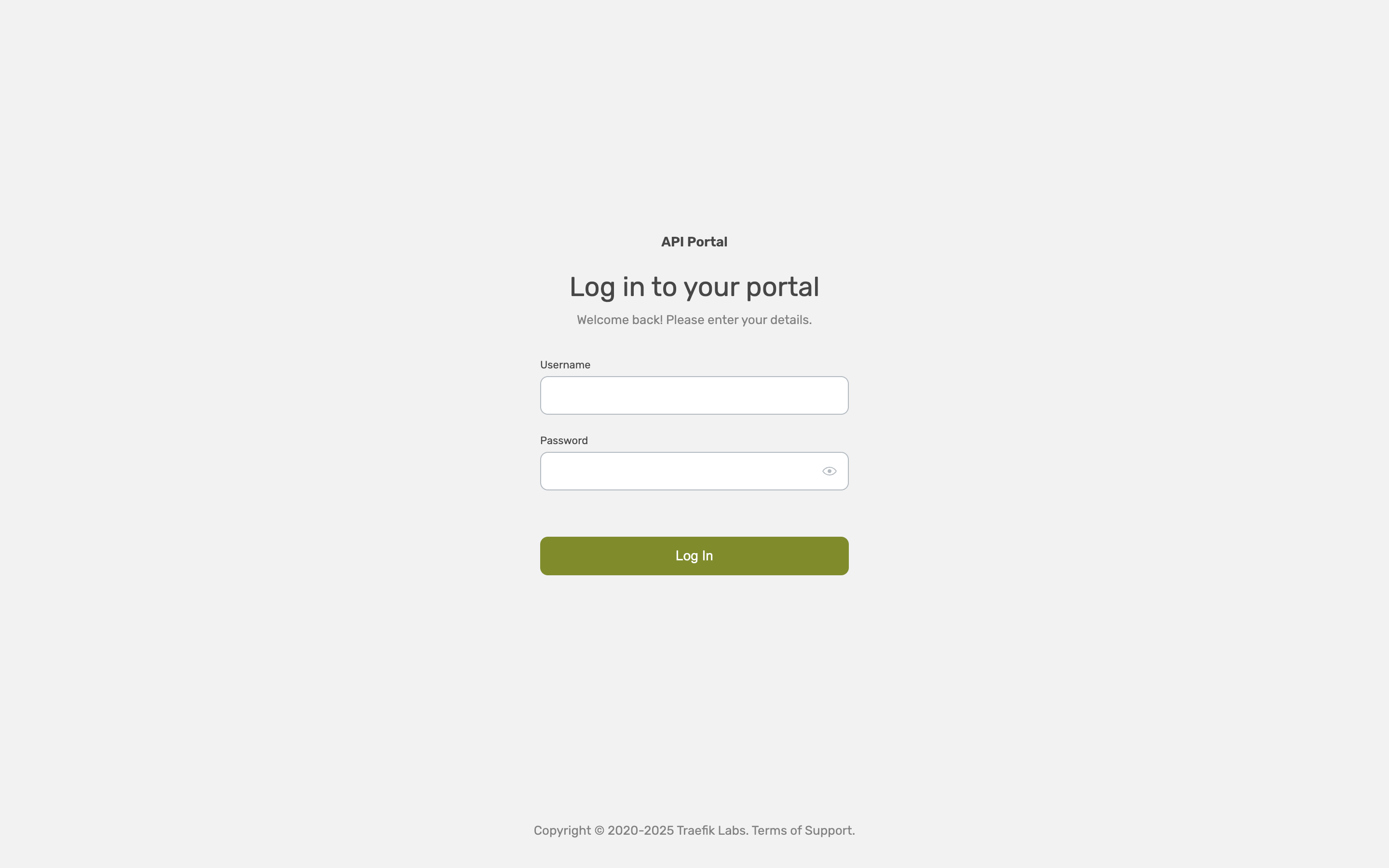 Developer portal login page with LDAP authentication form