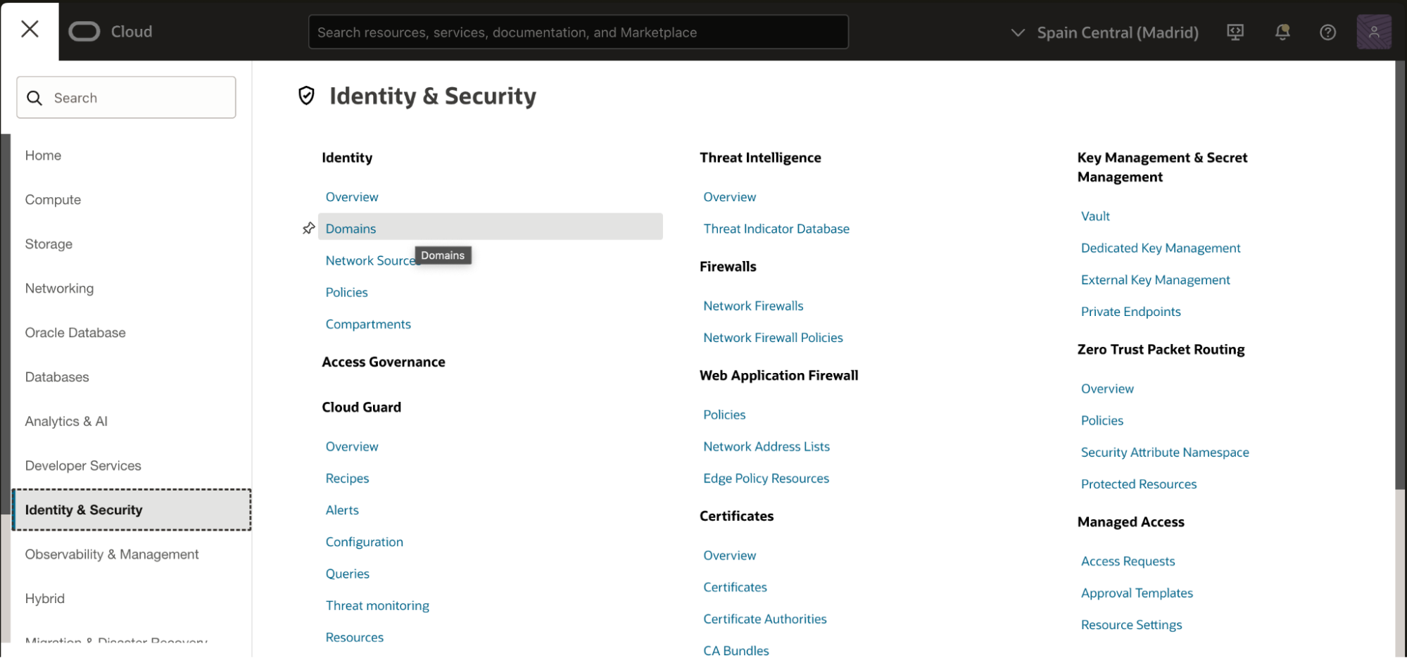 Oracle IAM - Domains
