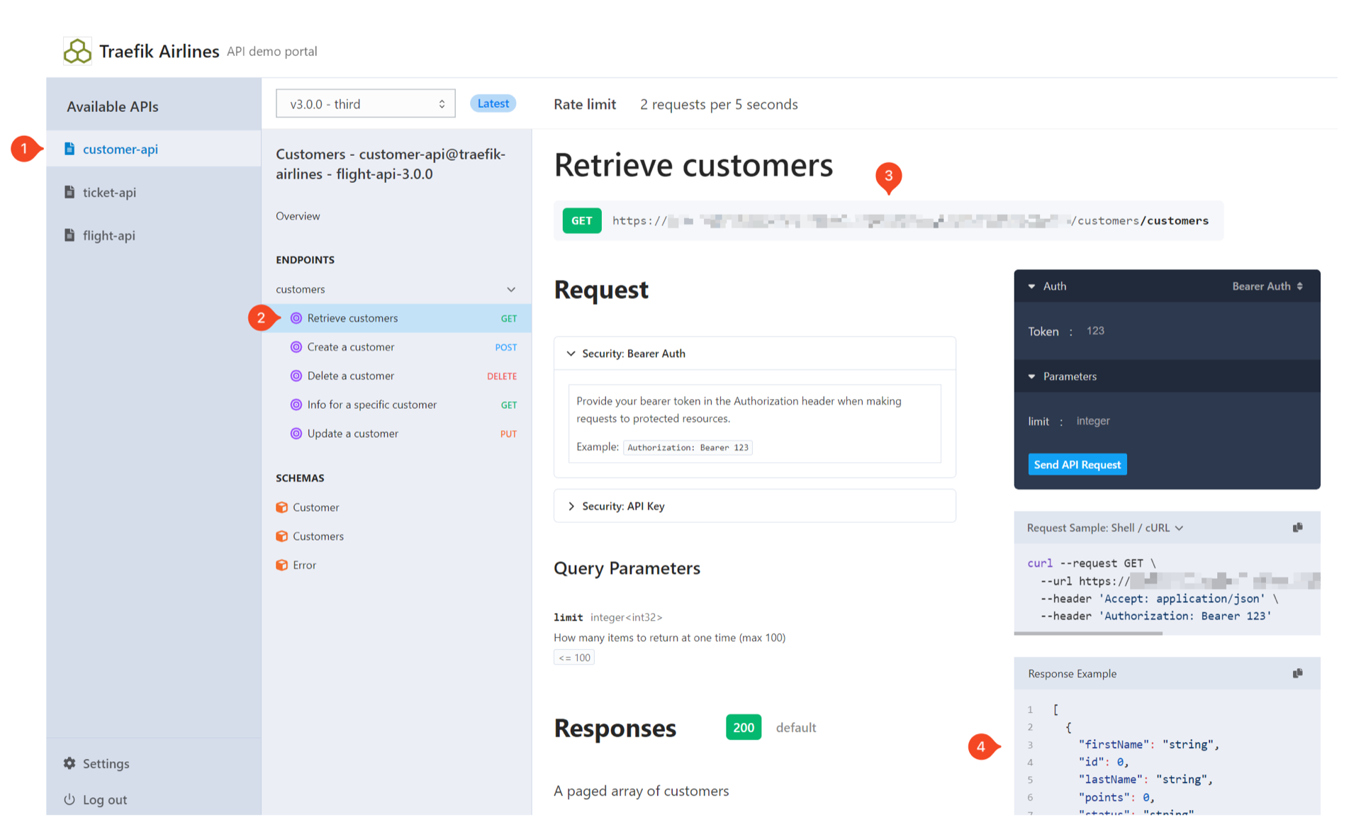 API Portal.