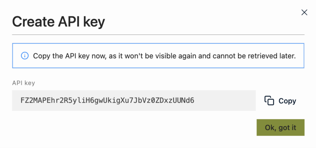 Copy API key