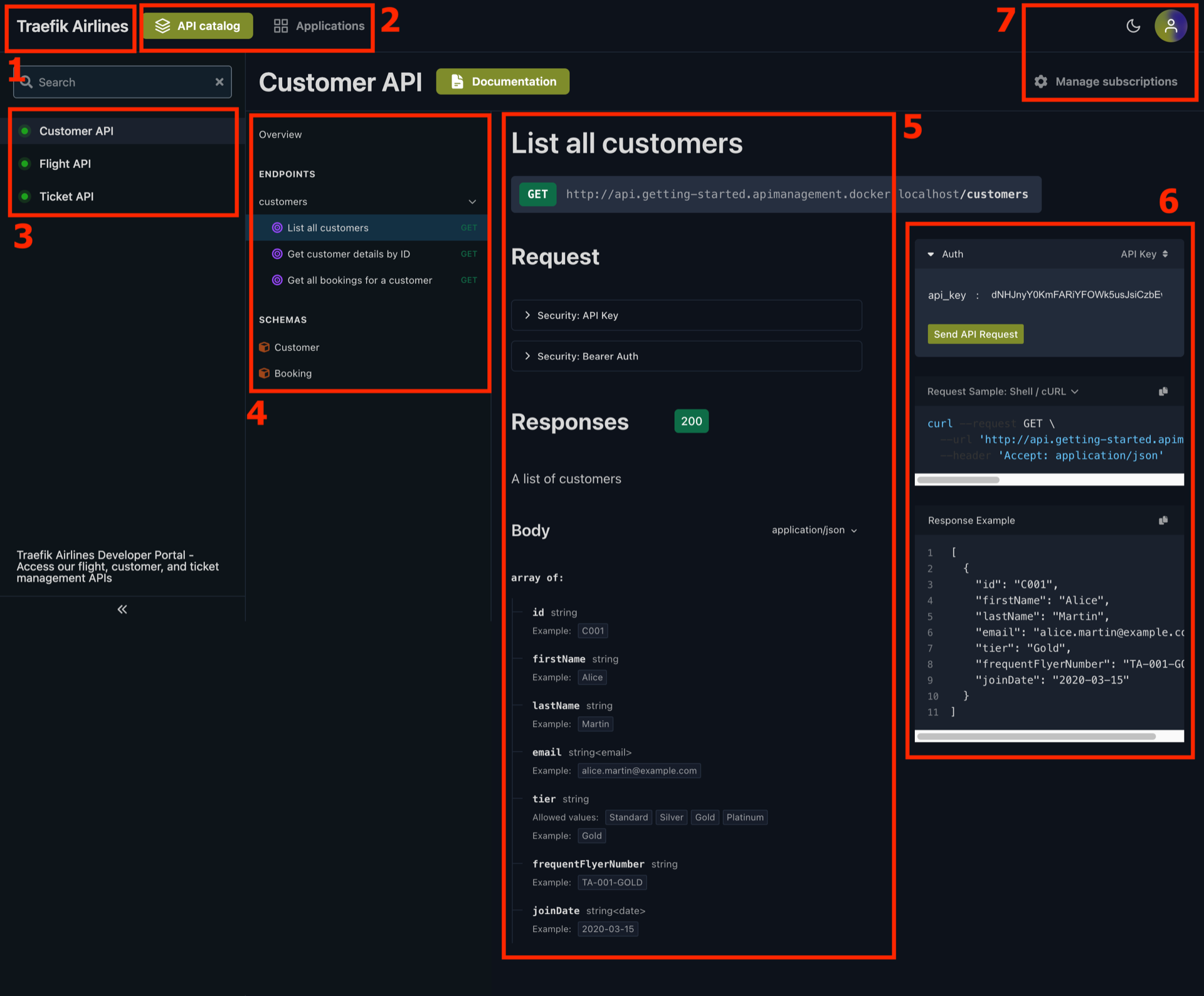 API portal overview