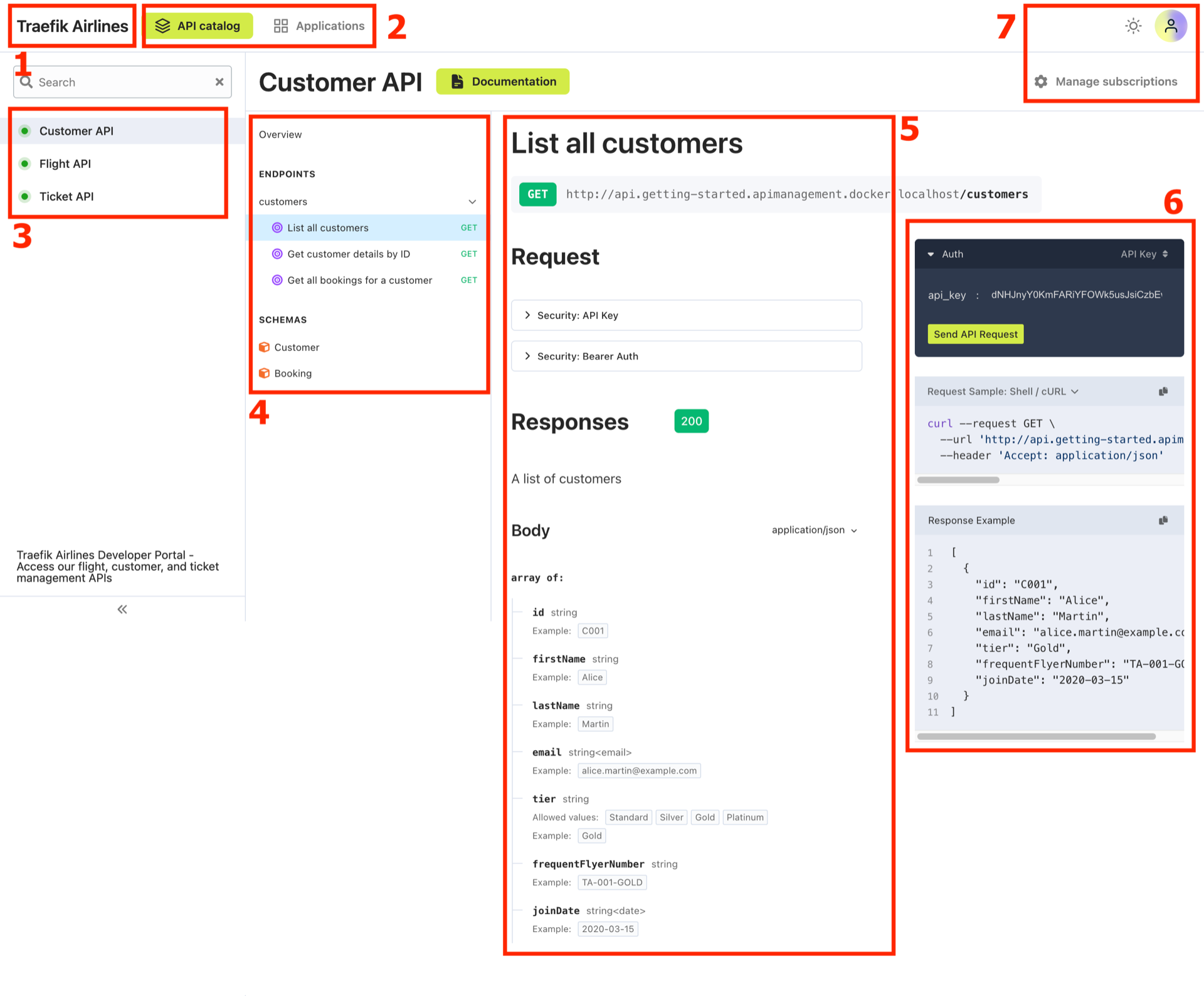 API portal overview