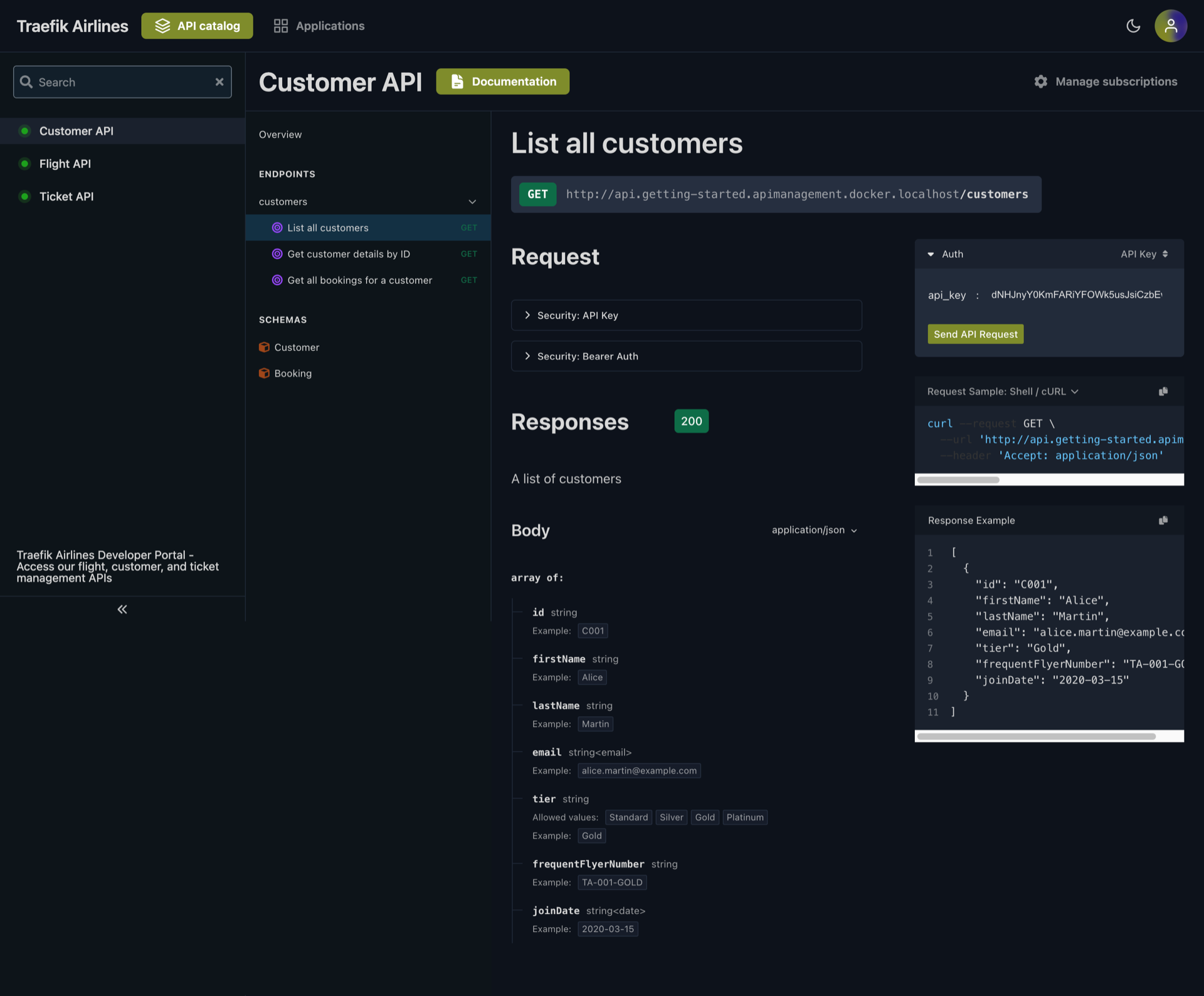 API portal